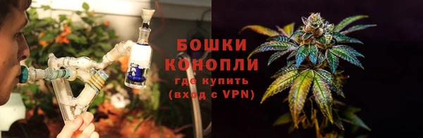 шишки Гусь-Хрустальный
