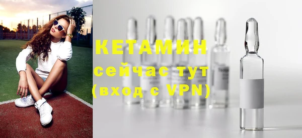 твердый Гусев