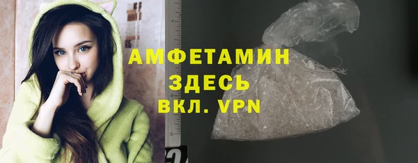 шишки Гусь-Хрустальный