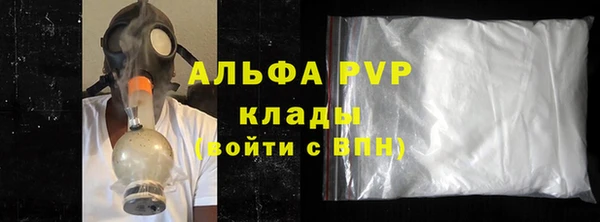 твердый Гусев