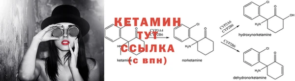 твердый Гусев