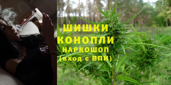 шишки Гусь-Хрустальный