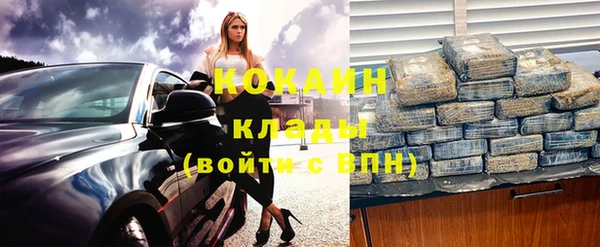 твердый Гусев