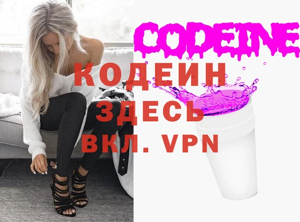 твердый Гусев