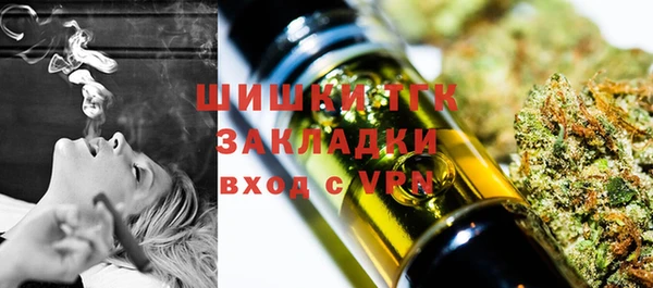 шишки Гусь-Хрустальный