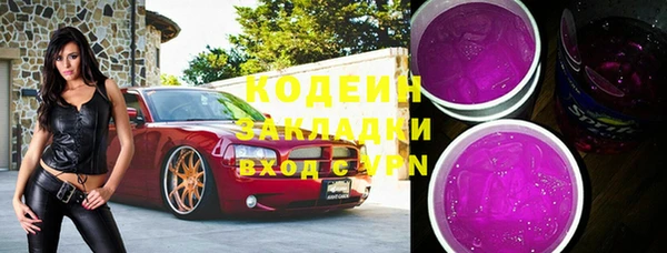 шишки Гусь-Хрустальный