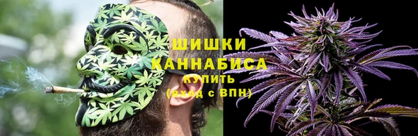 твердый Гусев