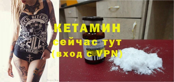шишки Гусь-Хрустальный