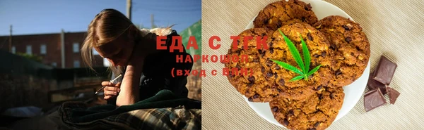 твердый Гусев