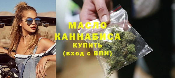твердый Гусев