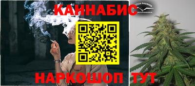 стаф Краснодар