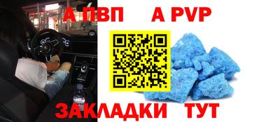 стафф Краснознаменск