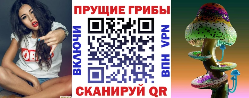 Псилоцибиновые грибы Psilocybe  хочу наркоту  hydra маркетплейс  Еманжелинск 
