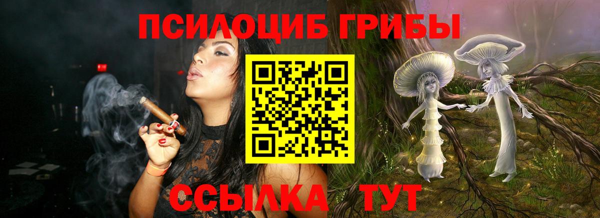 Псилоцибиновые грибы Cubensis Еманжелинск